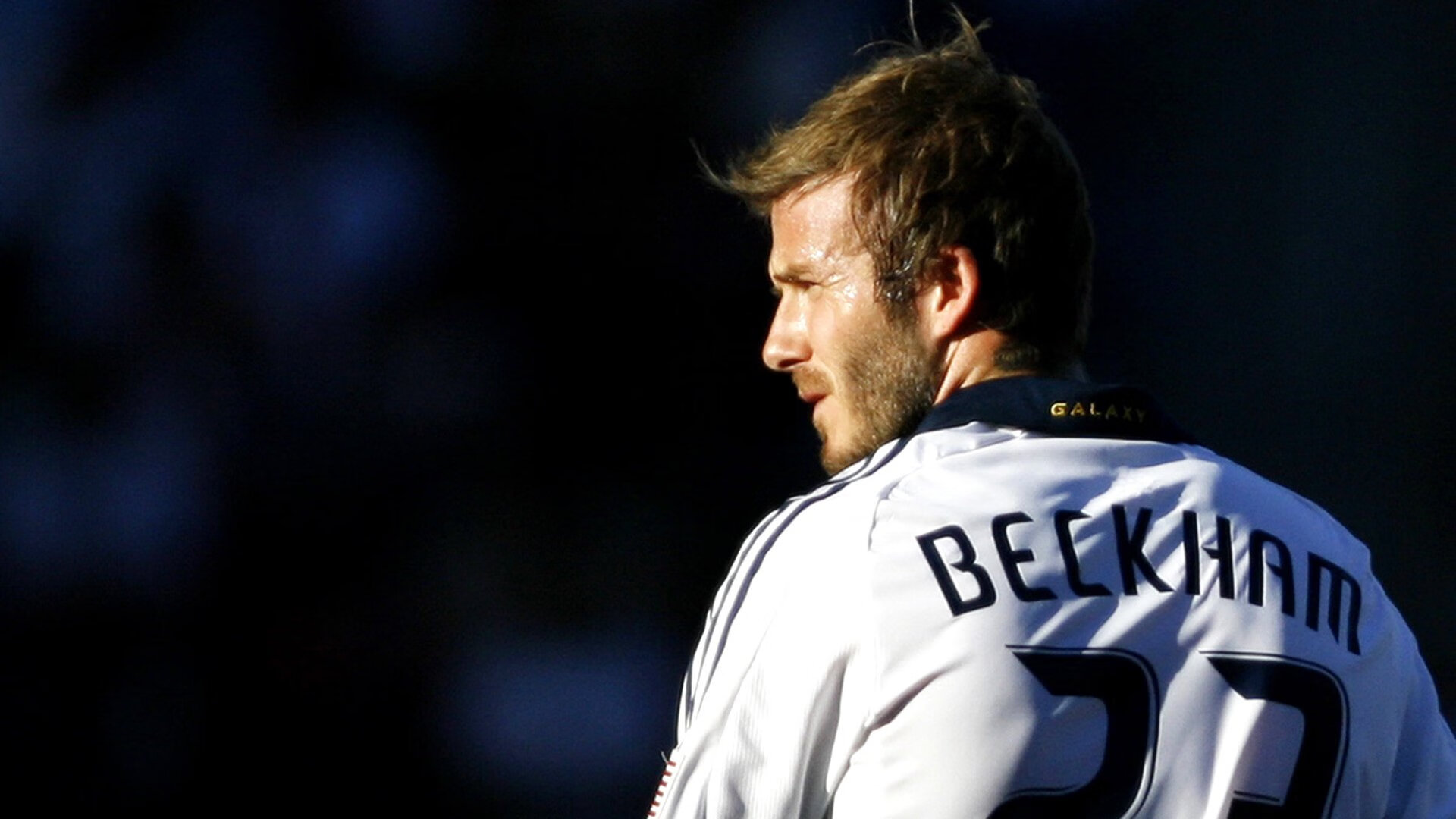 “未来展开”——新能源车辆引领新纪元，新能源汽车展望