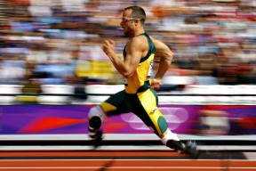 开云体育官方-_场外花絮：明星嘉宾到场助威，现场气氛热烈_，明星场外应援是什意思