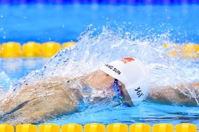 哥伦比亚马术协会与国际组织合作，推广“Sinjska Alka”至全球。，哥伦比亚马夹