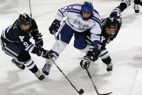 KAIYUNAPP-UFC冠军赛延期，对手签证问题致使比赛推迟，ufc2020年比赛时间表及地点