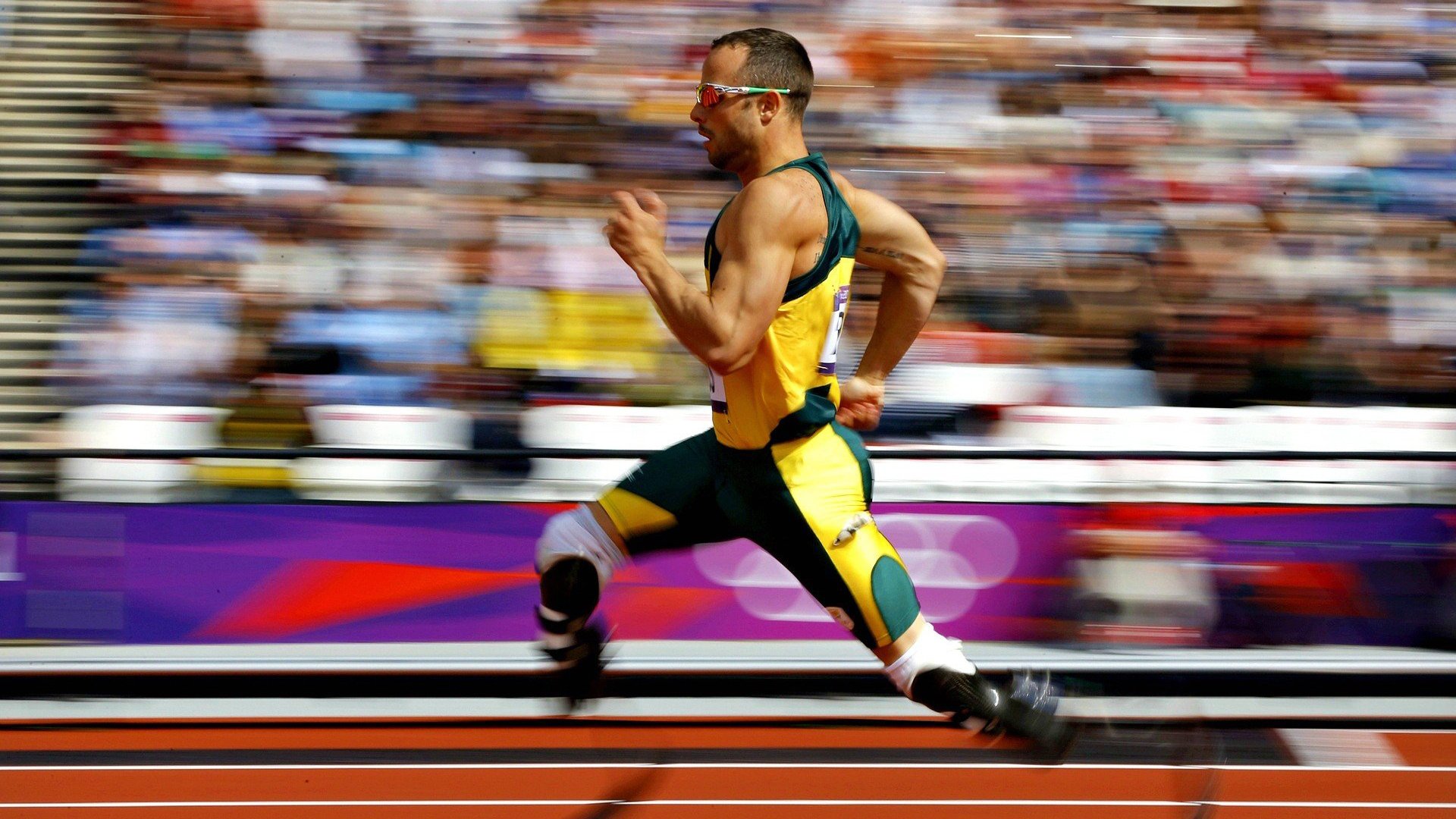 _场外花絮：明星嘉宾到场助威，现场气氛热烈_，明星场外应援是什意思